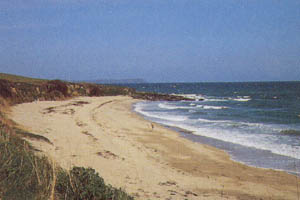Towan Beach - Roseland Peninsula