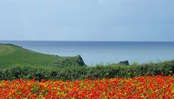 West Pentire Headland   Towards Polly Joke Beach Sea View Self Catering Accommodation in Crantock