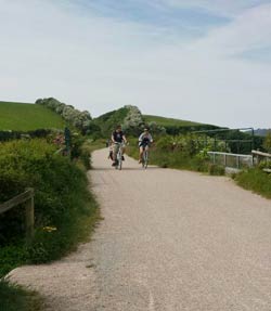 The Camel Trail Holiday Attractions and Family Days Out in Cornwall, The  Camel Trail  cycleway which runs from Padstow to Wadebridge