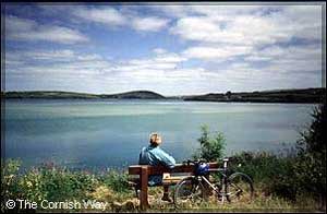 Camel Trail Cornwall cyclists on traffic-free path along the Camel Estuary - Cornwall family cycling attraction