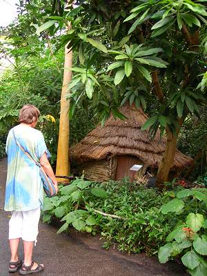 West African display hut, Eden Project Humid Tropics Biome