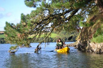 Koru kayaking at Frenchmans-Creek