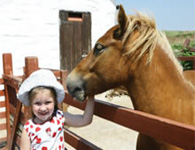 Land's End Cornwall Greeb Farm pony with young visitor - Cornwall family day out
