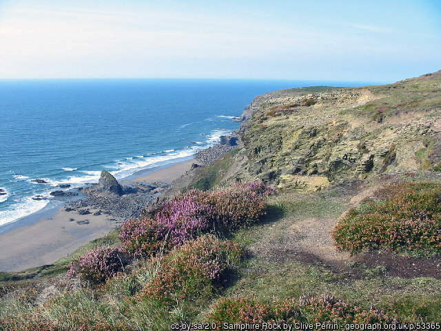 Samphire Rock and the beach at The Strangles seen from the heather-covered cliffs