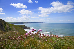 cliffs near Bude, Beachmodern No 28