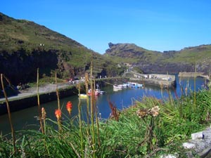 Boscastle Harbour