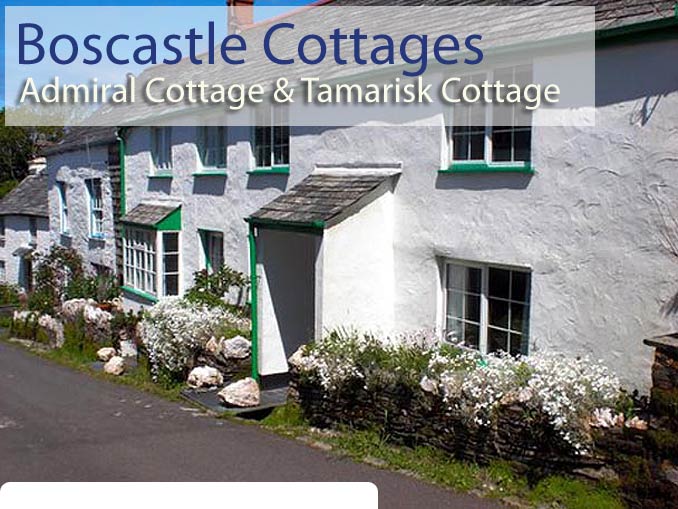 Boscastle Cottages