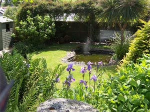 The Garden