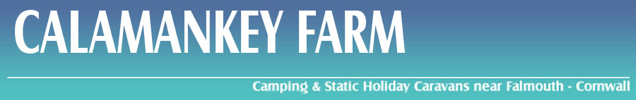 Static Holiday Caravans in Falmouth, Camping  in Falmouth, Calamankey Farm ,