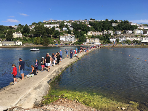 The Mill Pool in Looe