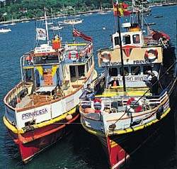 Tourist Trips from Falmouth Harbour