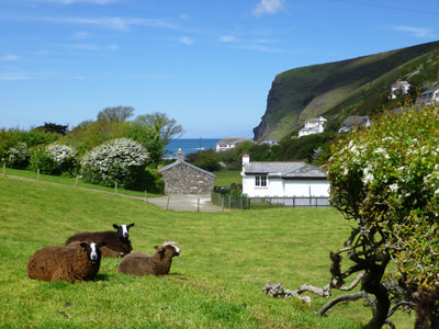 Coombe Holiday Cottages