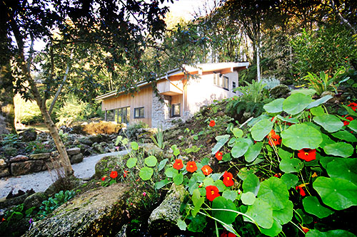 Holidays in Cornwall - Dippers Cornwall Traditional Cottage