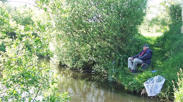 East Rose - Moor