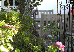 Bed & Breakfast Accommodation - Gunwalloe - Cornwall