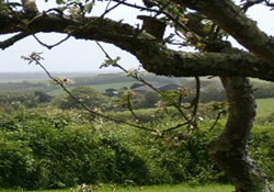 Self-catering  Accommodation - Gunwalloe - Cornwall