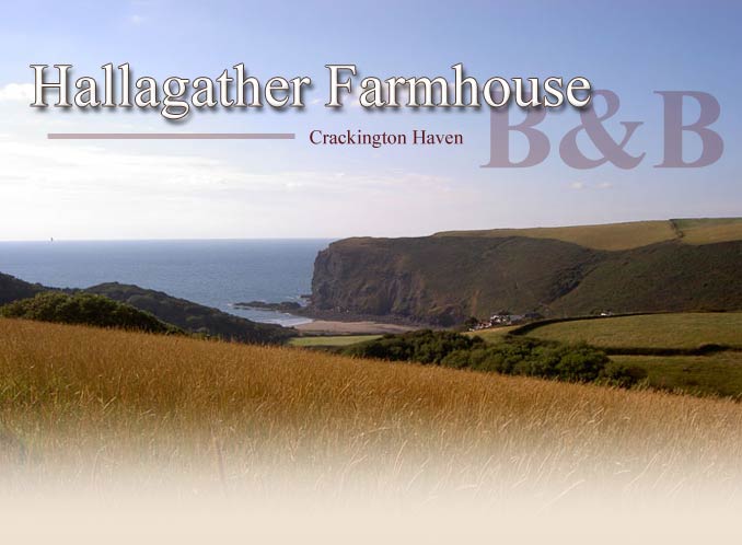Hallagather Farmhouse B&B