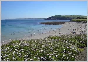 falmouth - Gyllyngvase beach