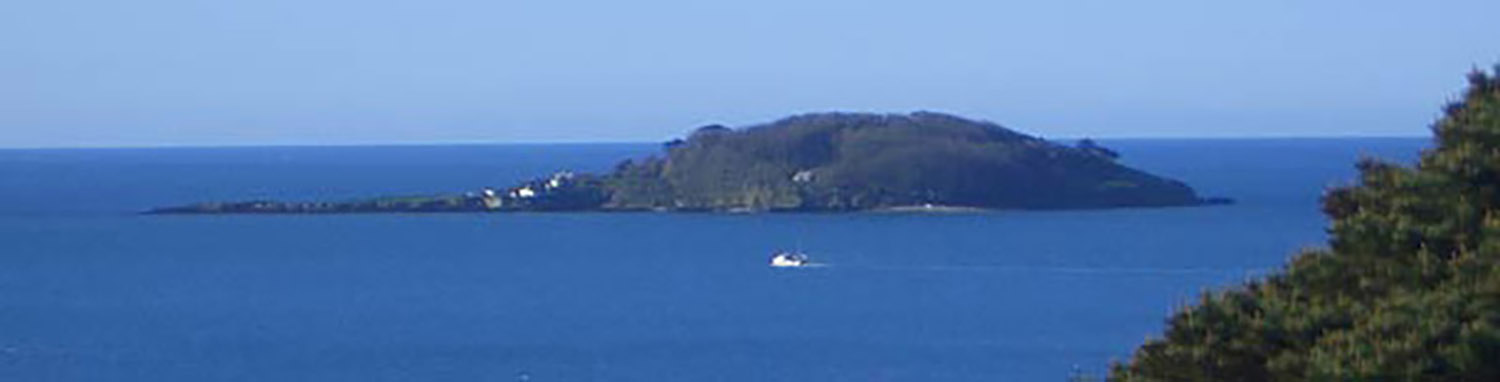 View of Looe Island - Holidays in Looe Cornwall