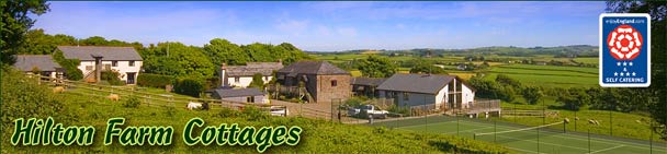Hilton Farm Cottages - Bude