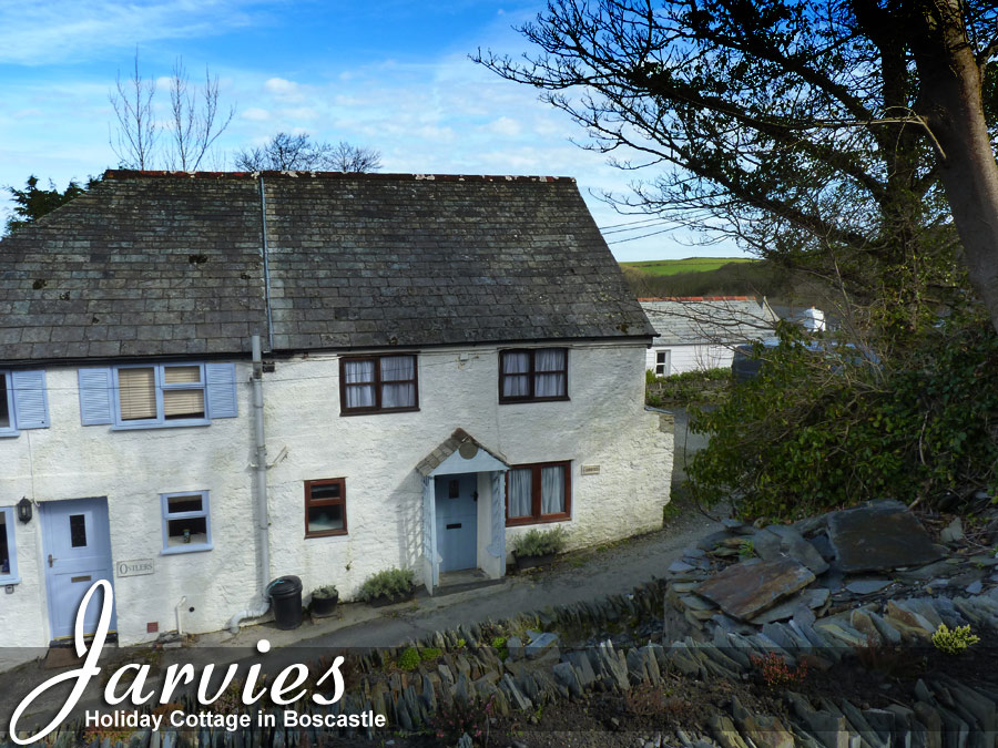 Jarvies Holiday Cottage - Boscastle
