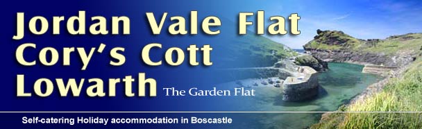 Self-catering cottages in Boscastle