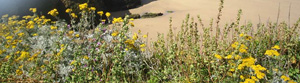Kenton Hotel - Newquay- Cornwall