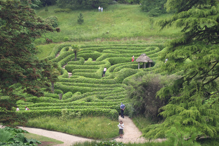 The Maze at Glendurgan Gardens - Photo Matthew Brannan