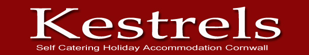 Lands End Holiday Cottage -  St Just - Cornwall