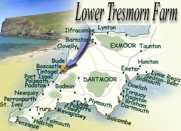 Location