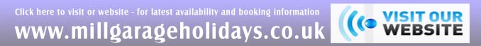Visit our Website