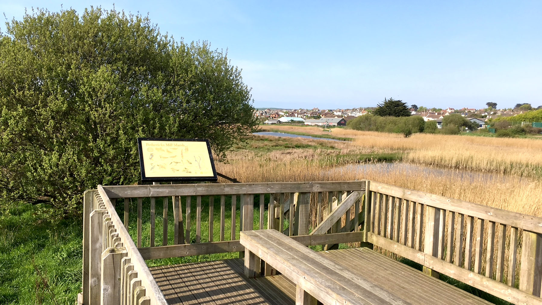 The wildlife viewing platform at Petherick&rsquo;s Mill marsh in the Bude Marshes nature reserve