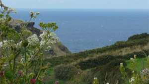 Tintagel Bed and Breakfast