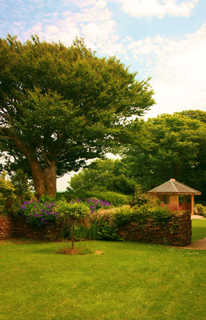 Country Guest House - Camelford - Cornwall
