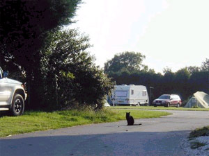 Penmarlam Caravan & Camping - Fowey