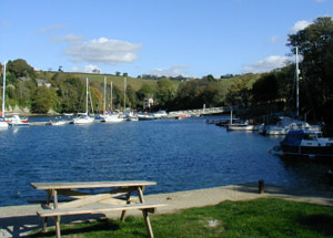 Penmarlam Caravan & Camping - Fowey