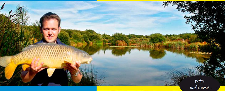 3 coarse fishing lakes camping and touring in Cornwall