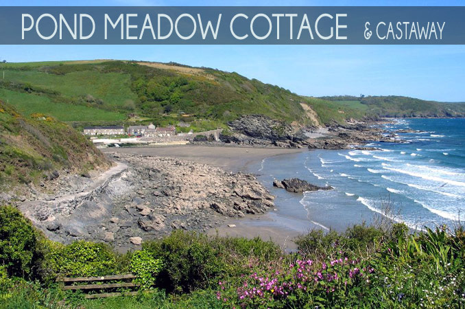 Pond Meadow Cottages  in Portholland