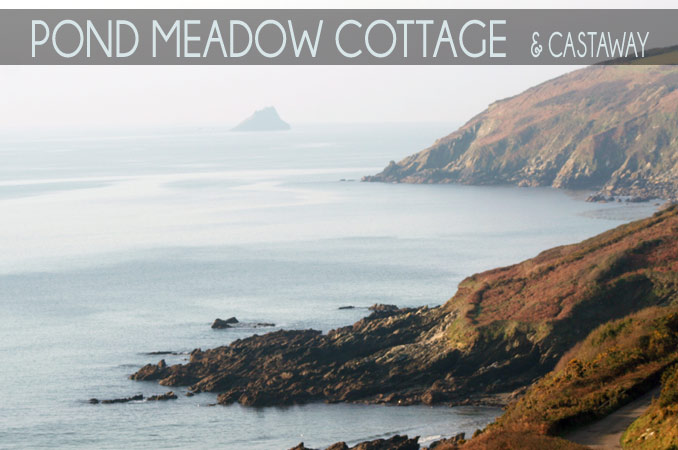 Pond Meadow Cottages  in Portholland