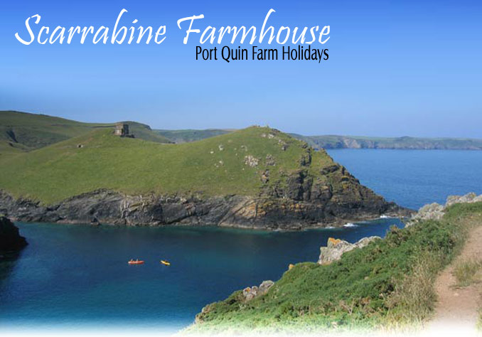 self catering near Port Isaac