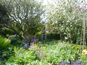 Self  Catering Holiday Accommodation  in Bossiney