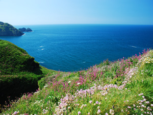 Self  Catering Holiday Accommodation  in Bossiney