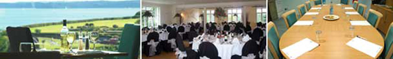 Business meetings and Conferences