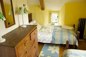 Self Catering near Bude - Sunshine Alley Cottage