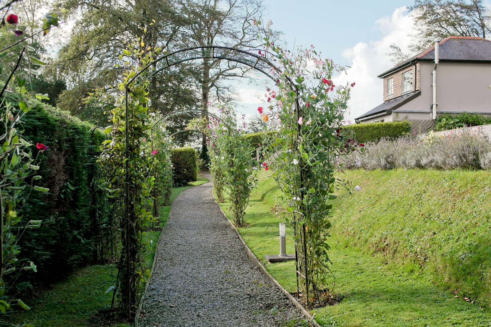 Tamar Valley Cottages Grounds  - Holiday Cottages in Bude - Tamar Valley Cottages