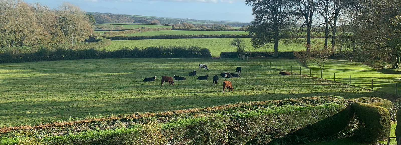 Garden view - Holiday Cottages in Bude - Tamar Valley Cottages