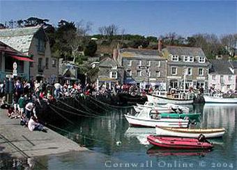 The Harbour in Padstow