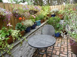 Self Catering Accommodation Trebetherick Cornwall
