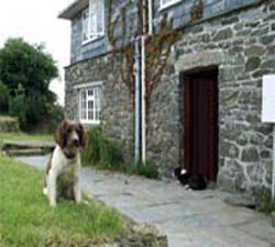 Self Catering Holiday Cottages - Port Isaac - Cornwall