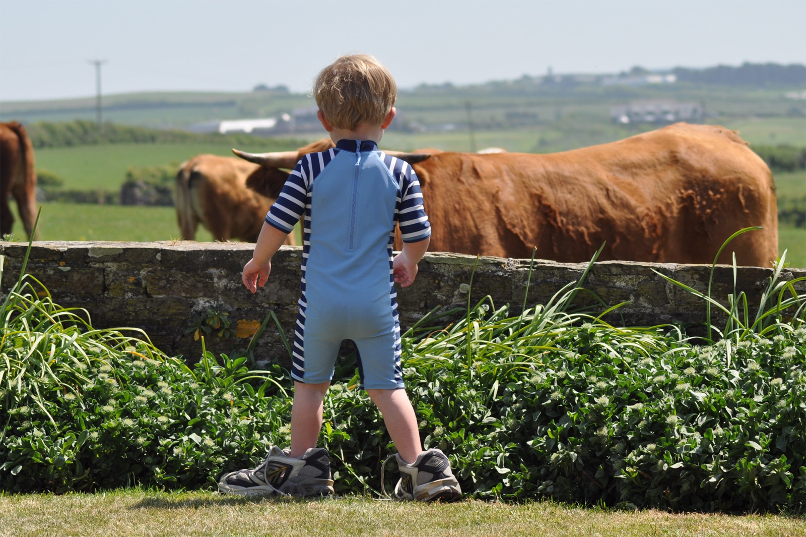 Garden with views over Bodmin Moor